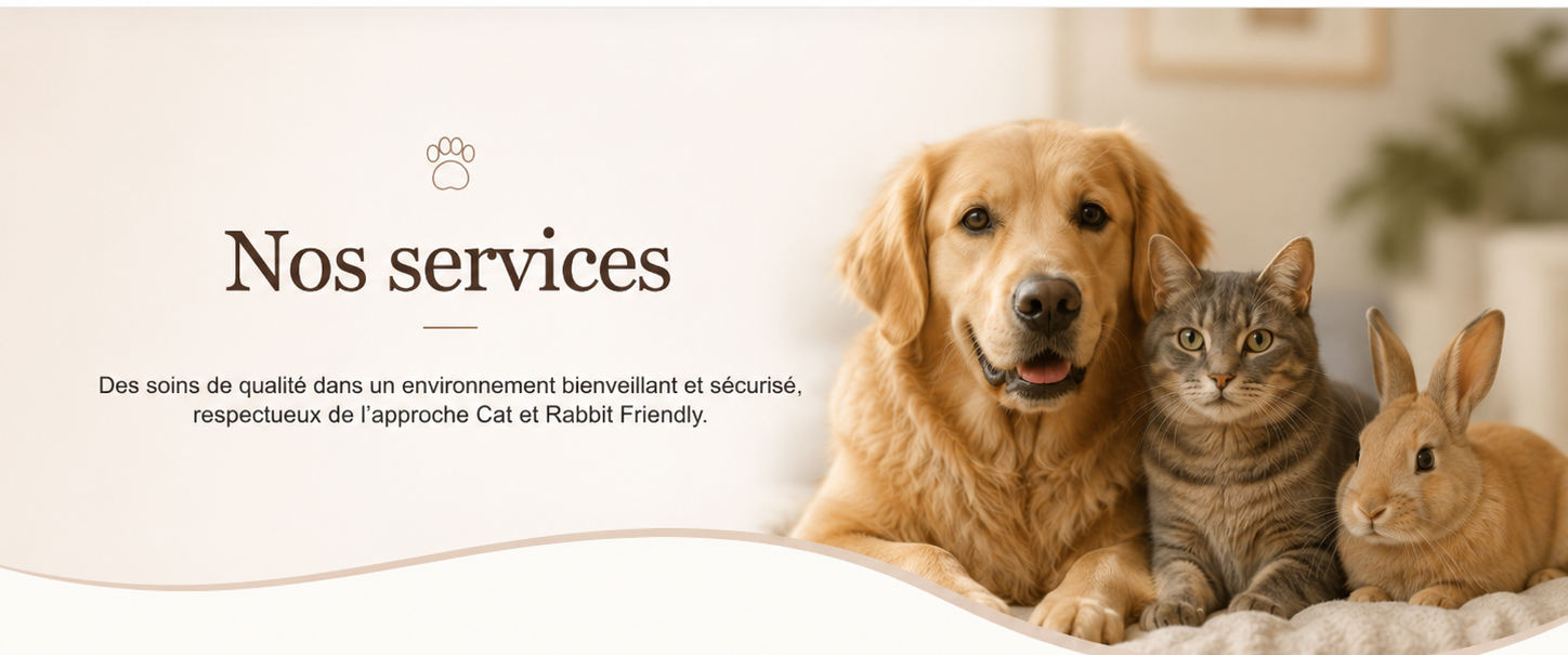 Nos services Parmain Vet